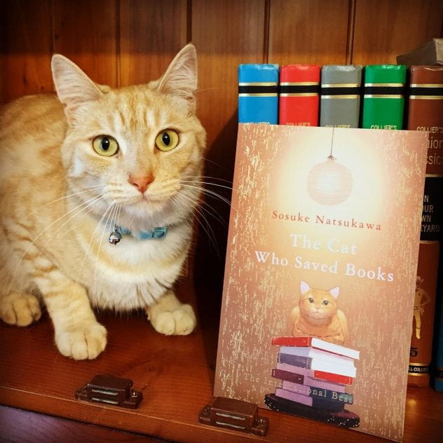 The cat who saved books